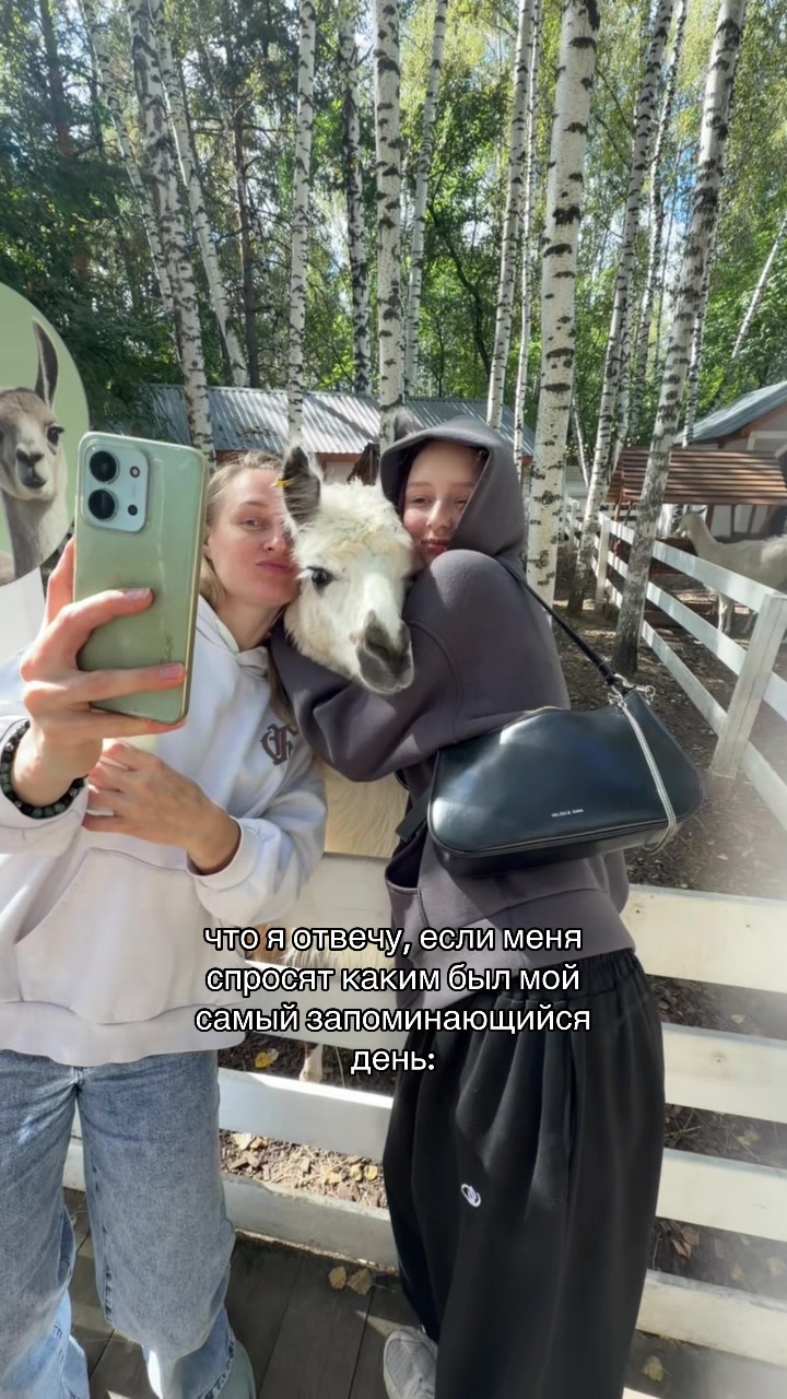 @VETTA