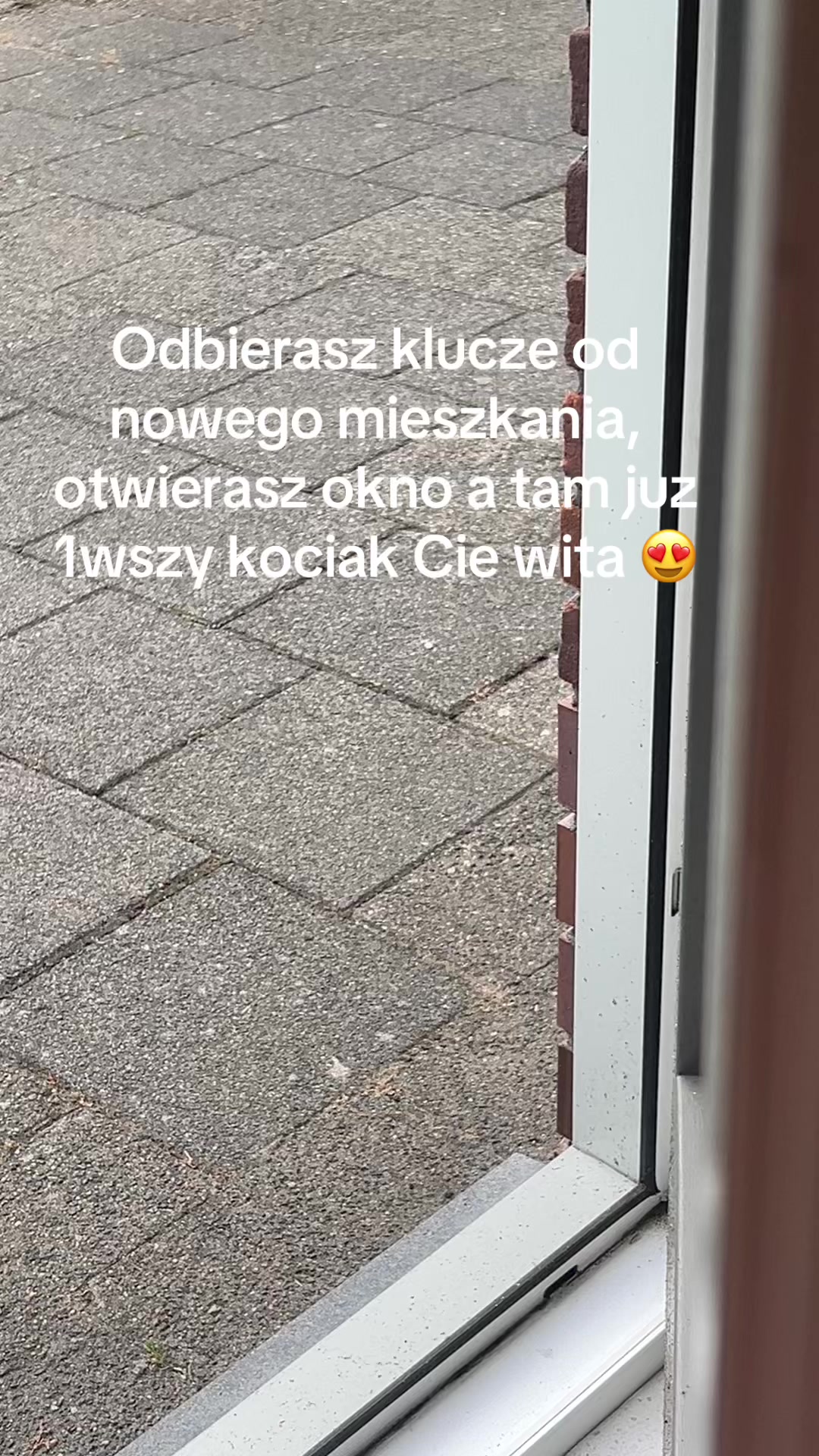 @🐱Aannja93🐱