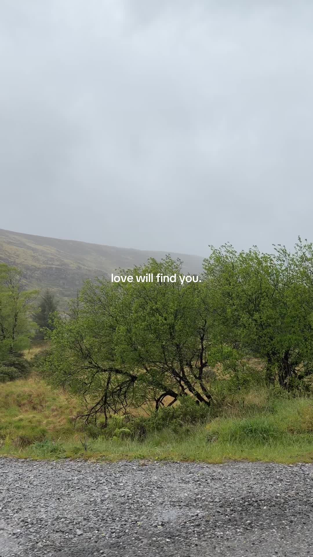 @justselenthings