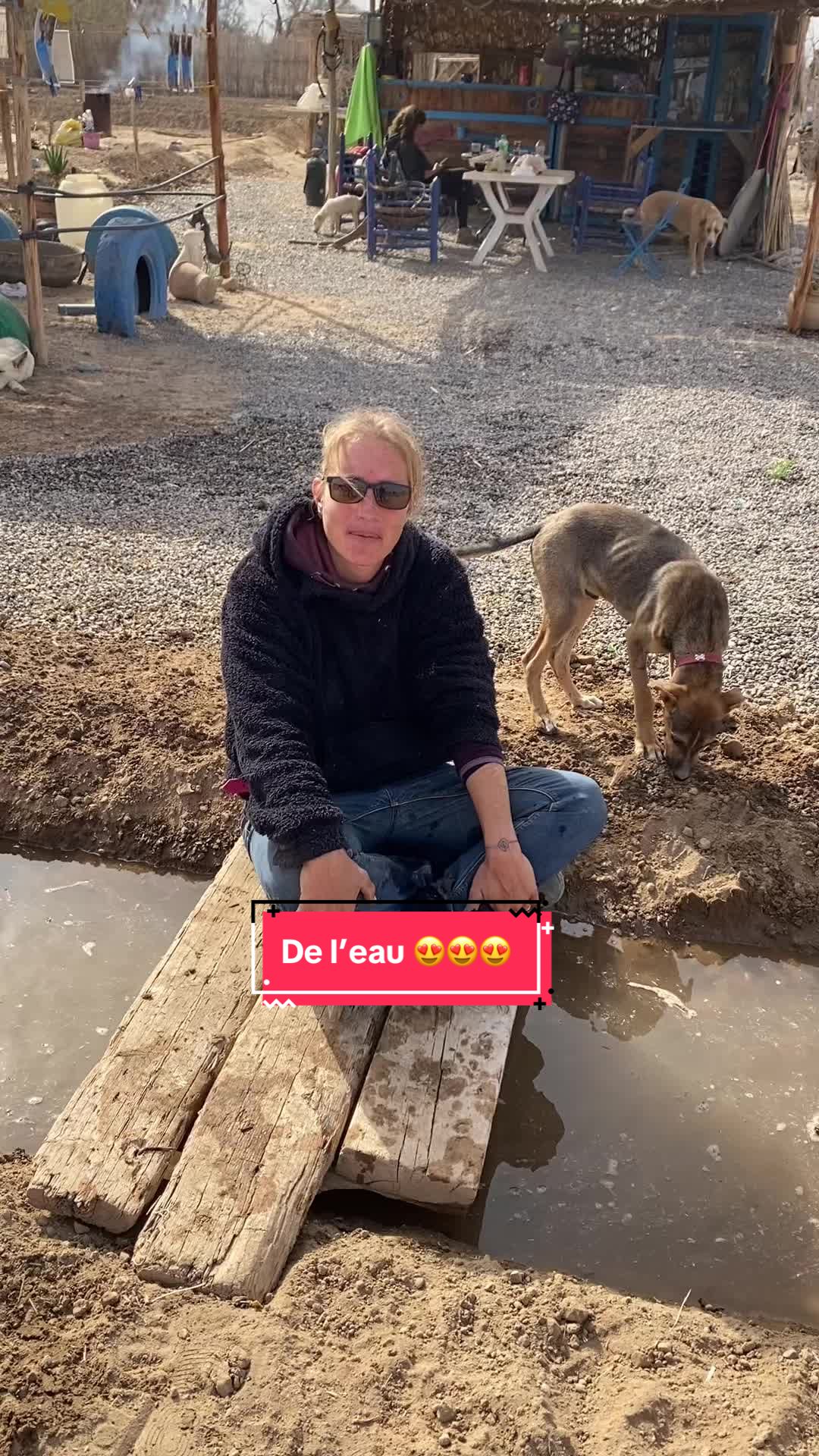@Les&ensp;&eacute;curies&ensp;de&ensp;la&ensp;roseraie