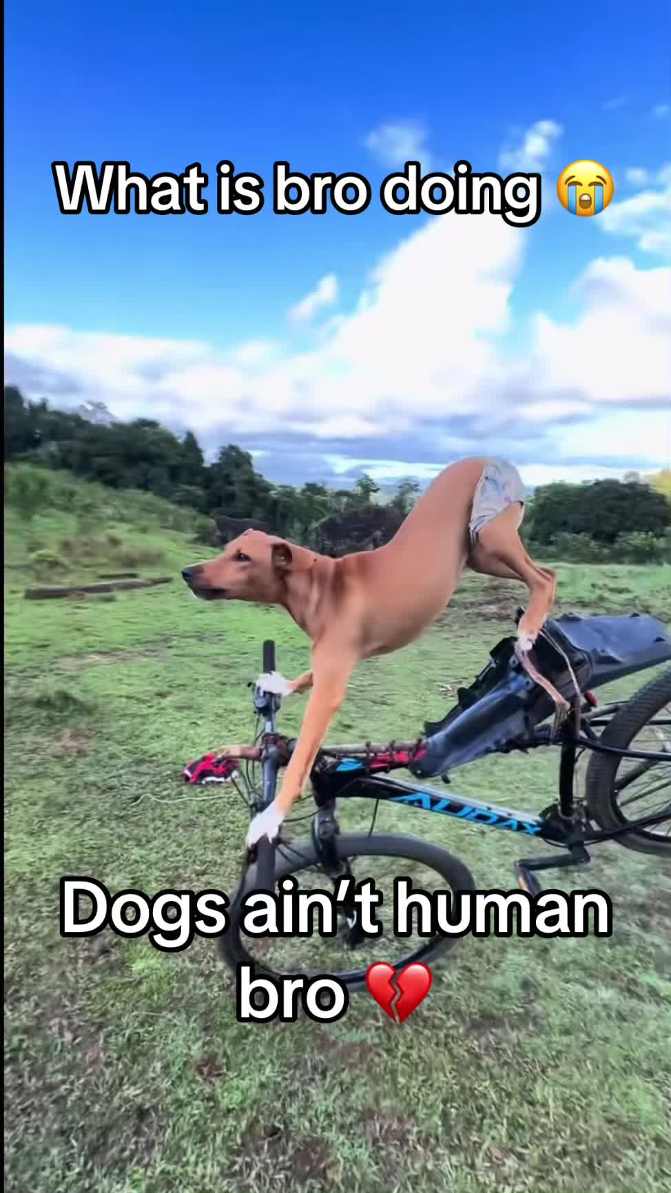 @Cole