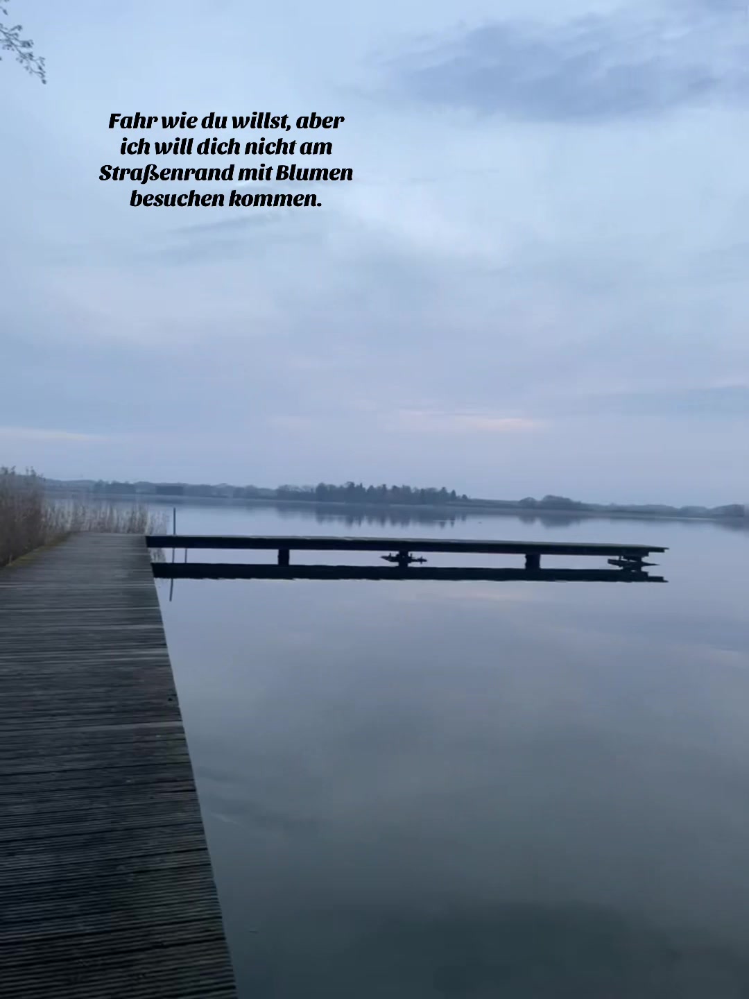 @Lillifee
