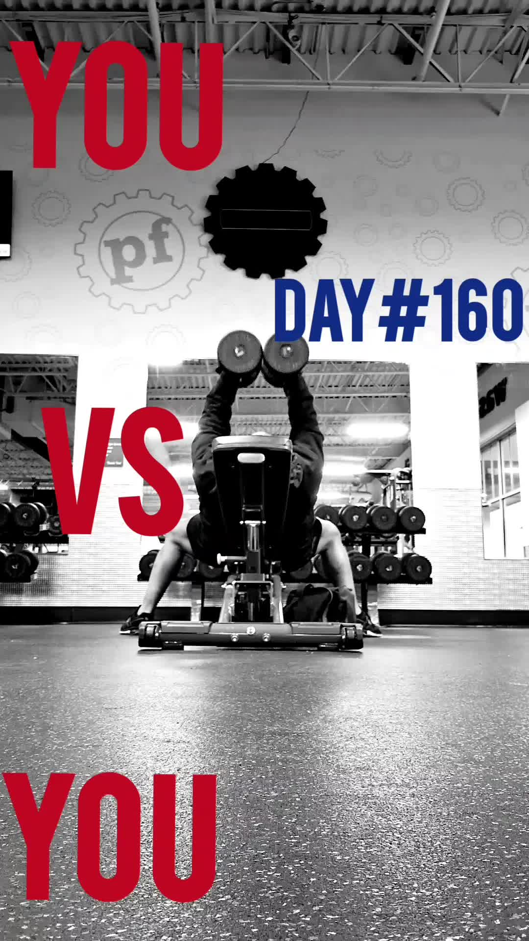 @proffit1919