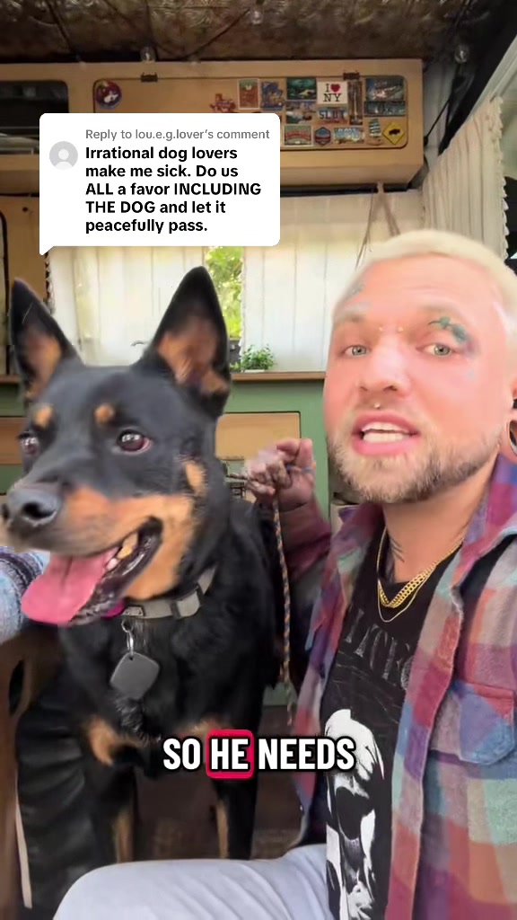 @balancedcanineacademy