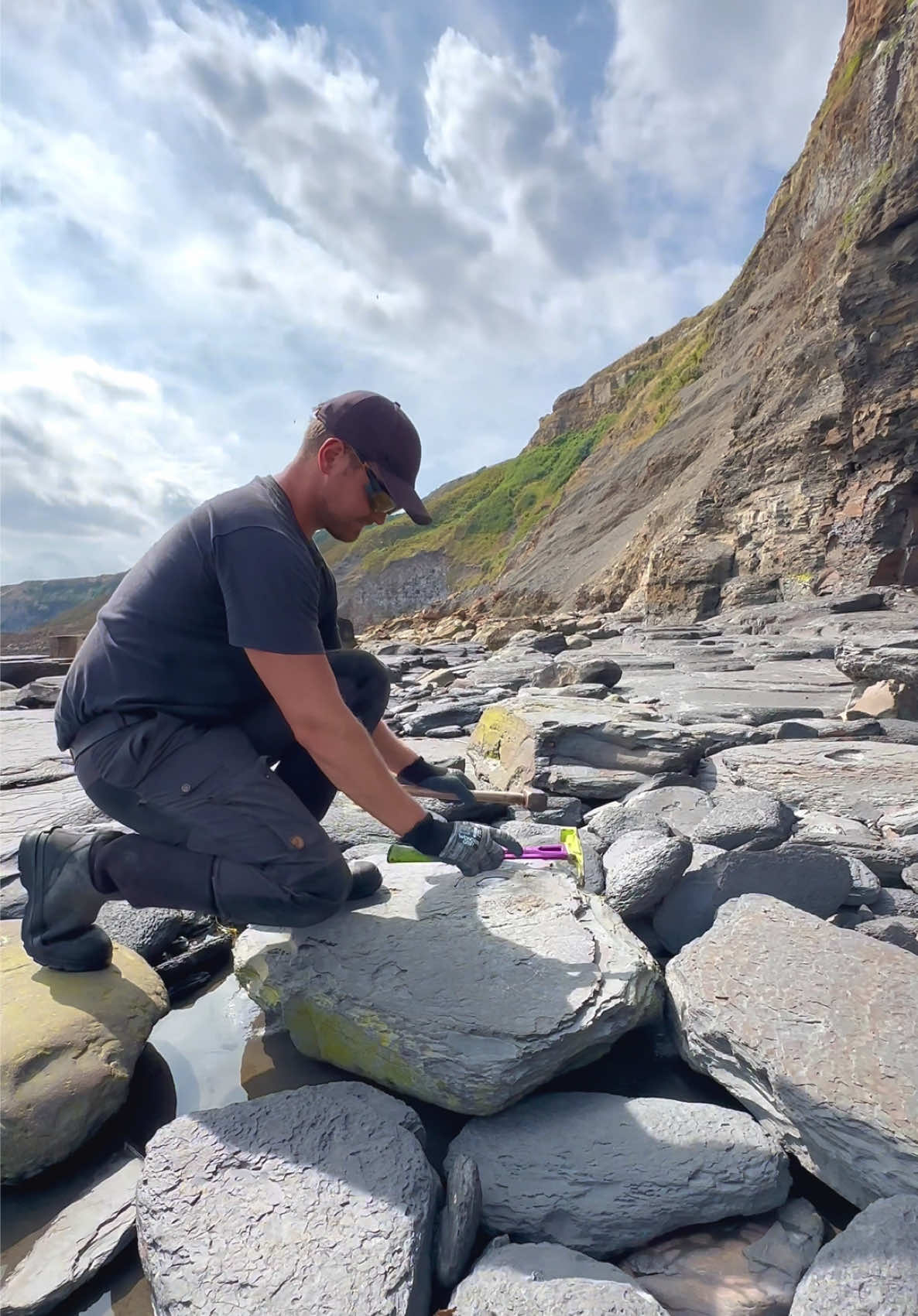 @yorkshire.fossils