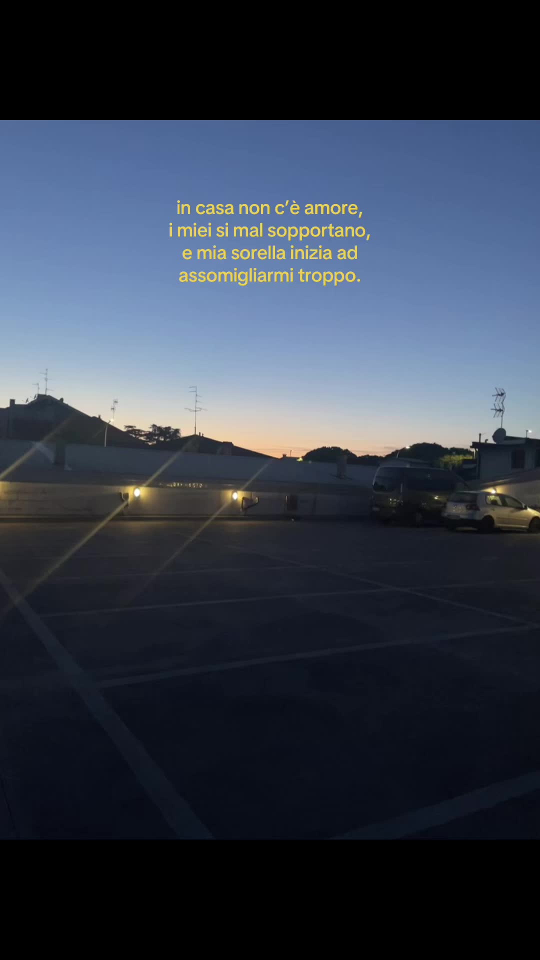 @ℳ🐚