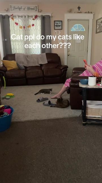 @Shycrybaby