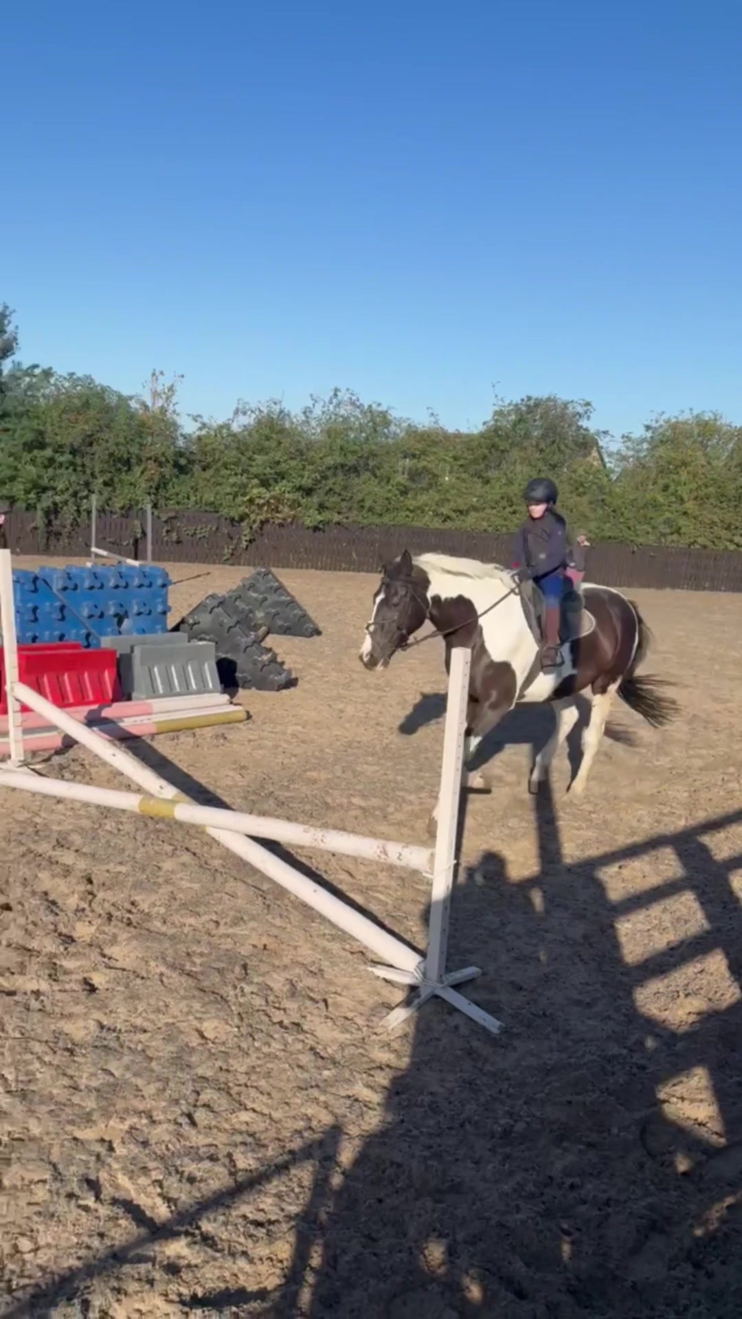 @LottiesHorseAdventures🦄🐴
