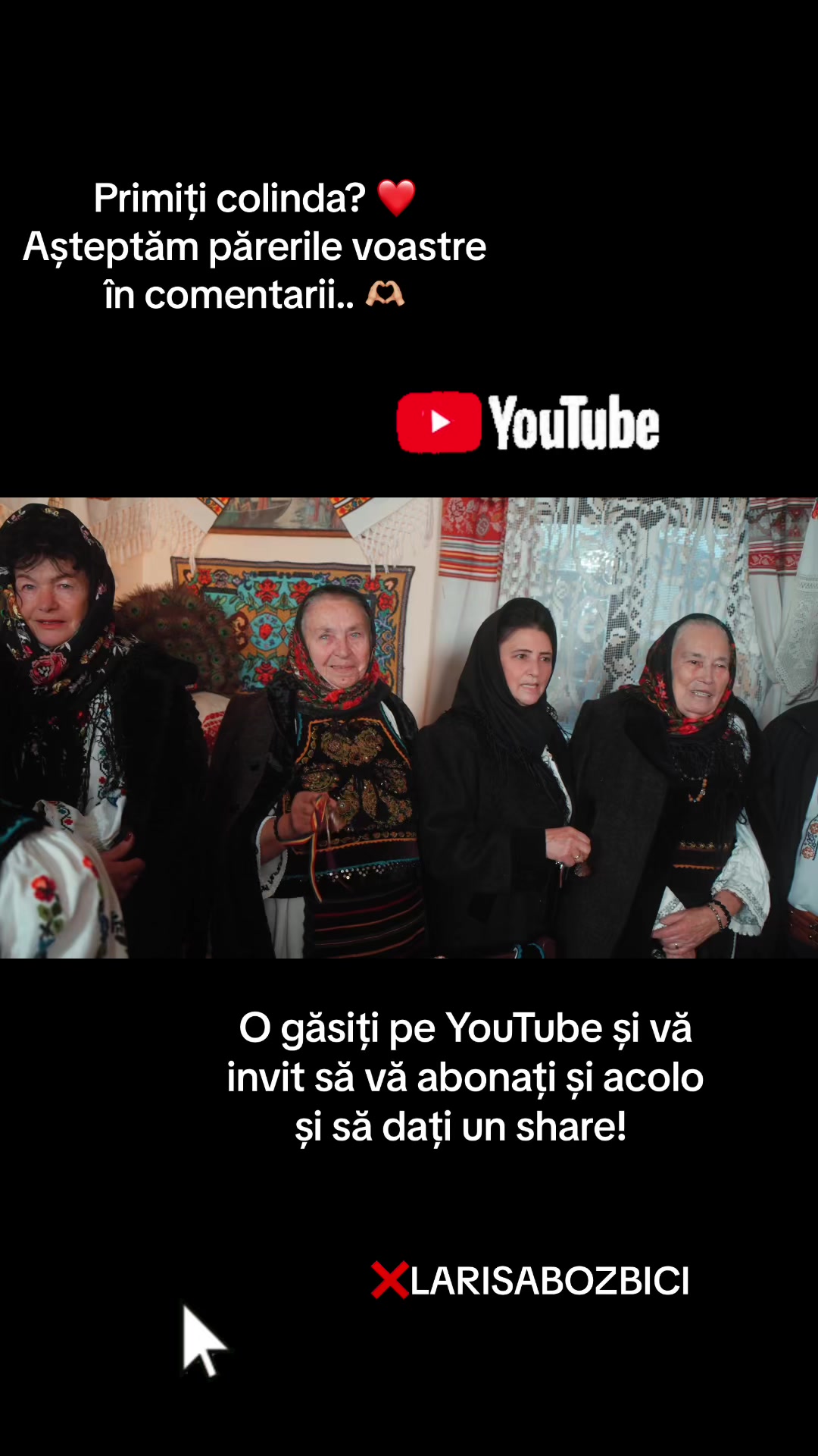 @Larisa Bozbici