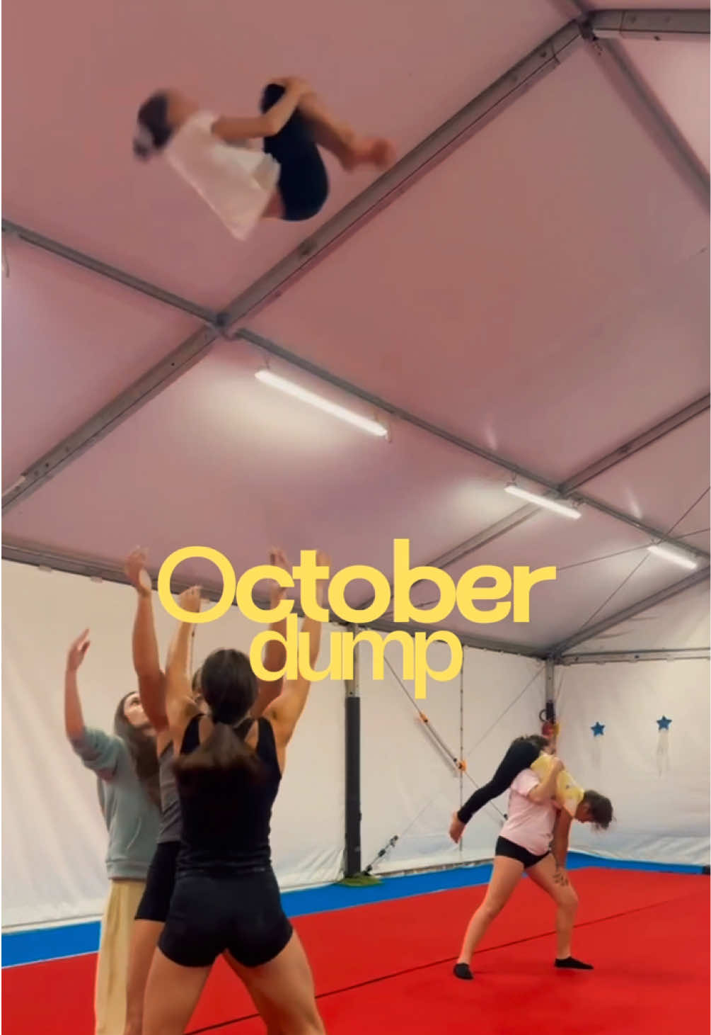 @asd acrotigers🧡🖤