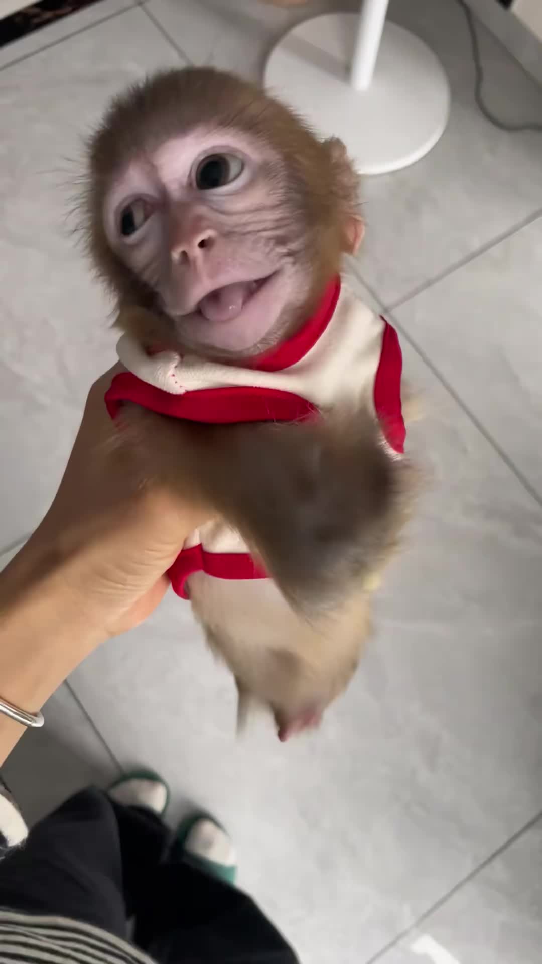 @monkeymoo666