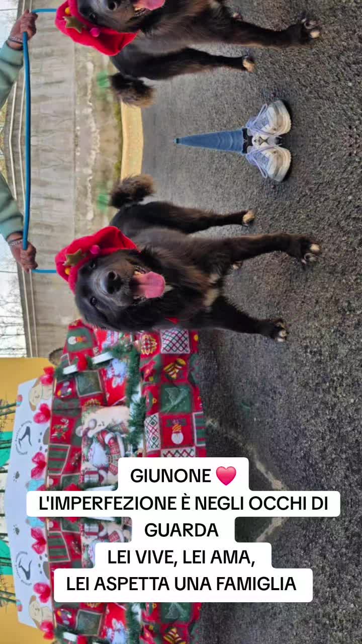 @Manuela