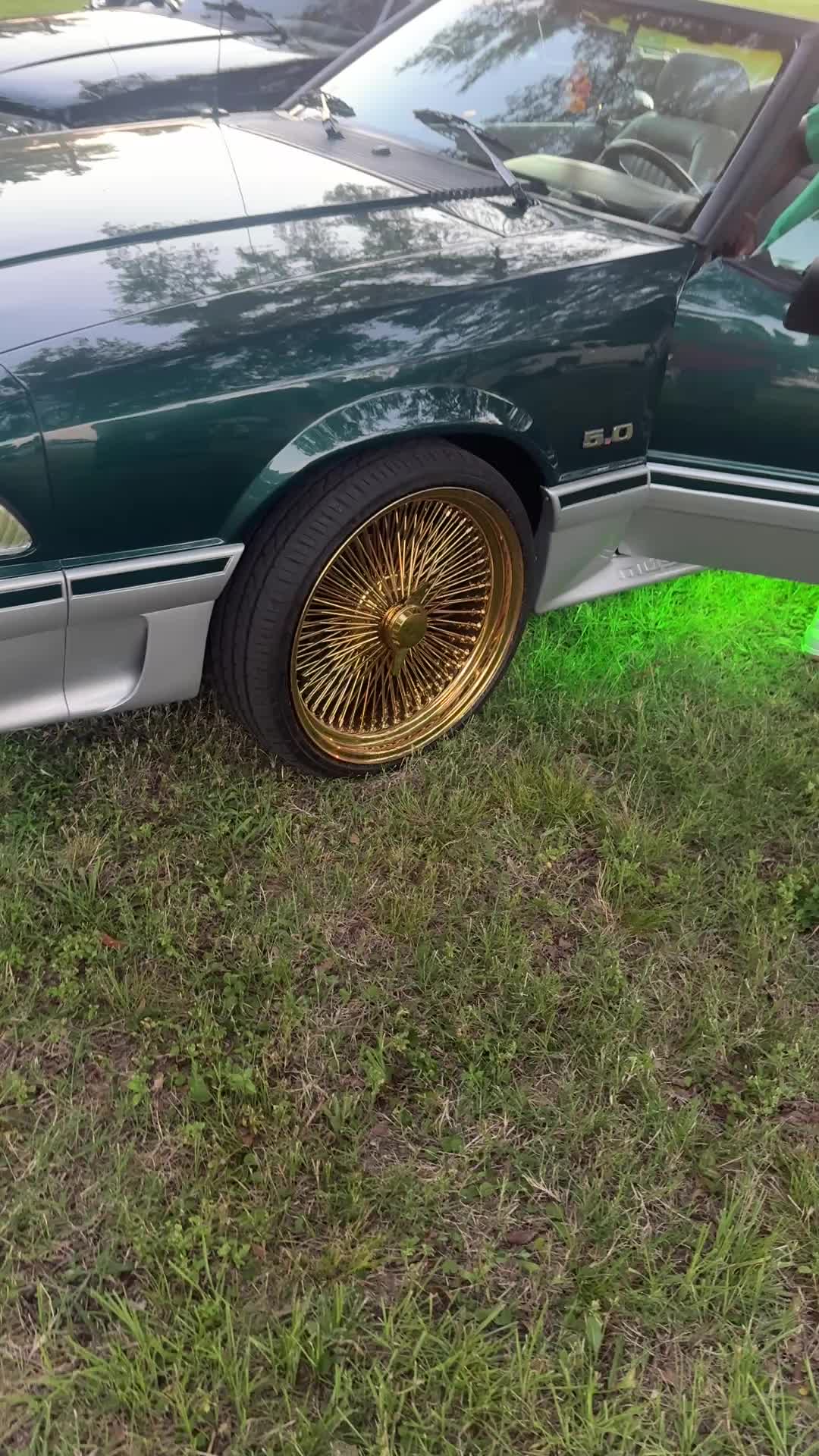 @Djworm501
