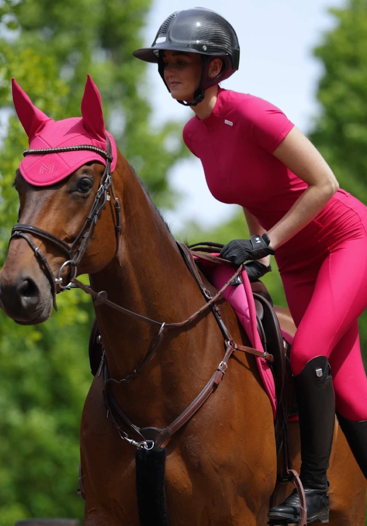 @Maximilian Equestrian