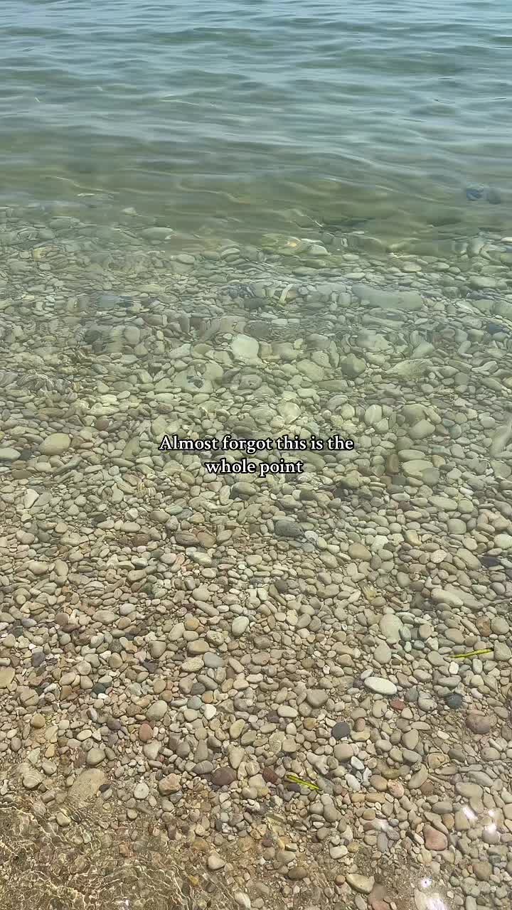 @alessialoffreda_