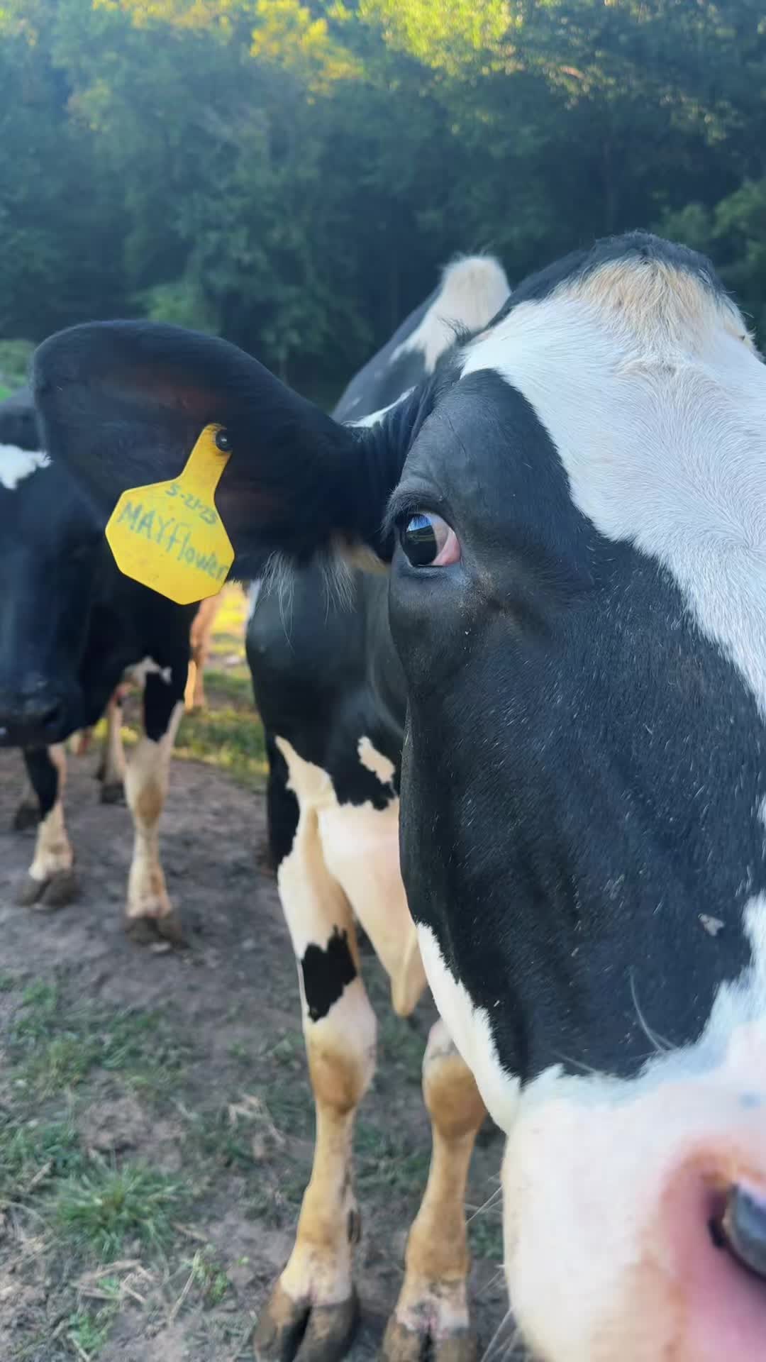 @Farmersdaughterwisco.