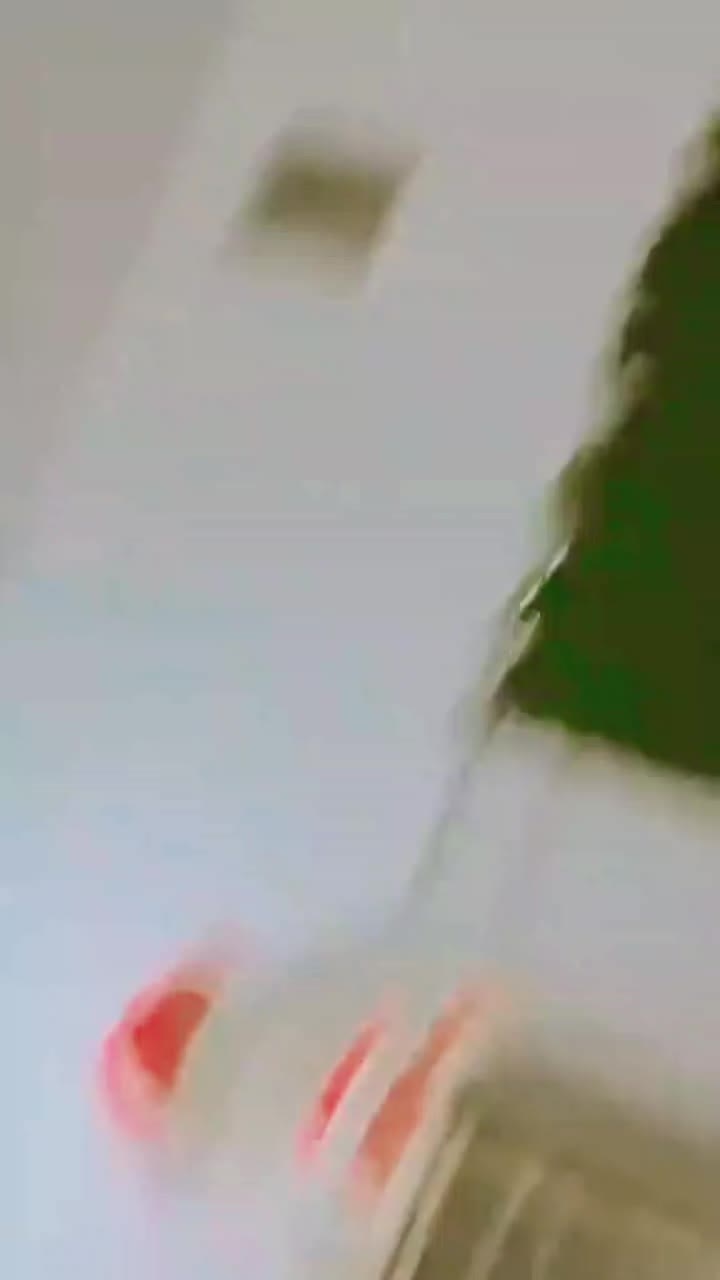 @ใโ
๐๐ข๐๐ข ๐๐ข๐ธ๐ข๐ต๐ช โ
ๅฝก