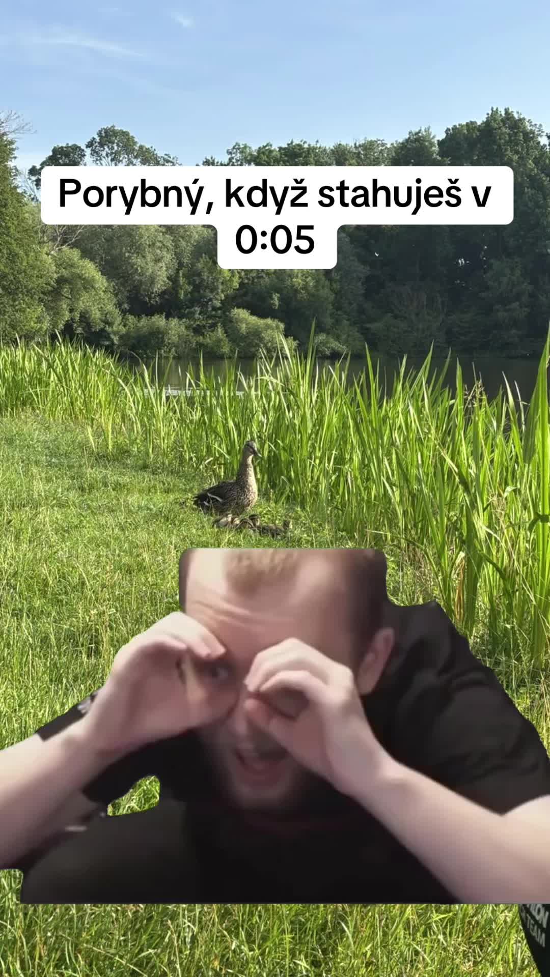 @BlizzCarp