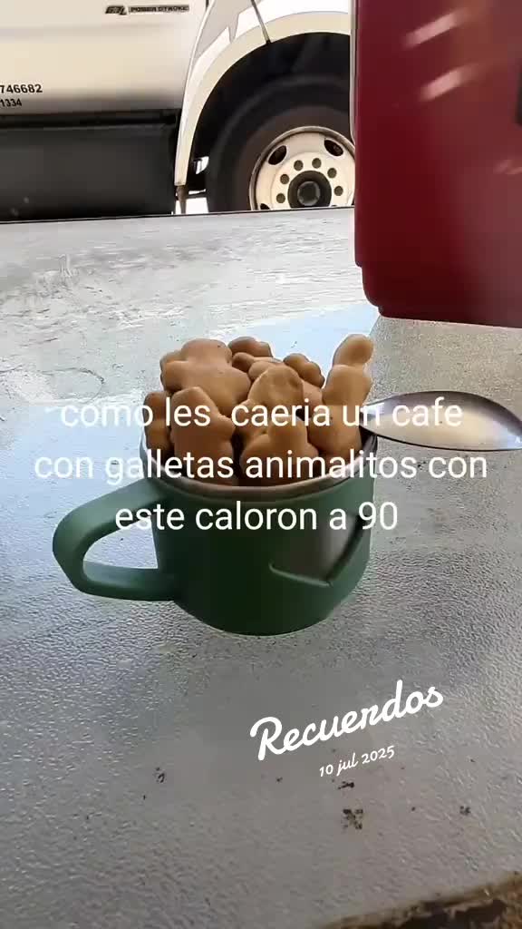 @🇲🇽tiburon 🇺🇲🇲🇽🏋♂️🦈🗜