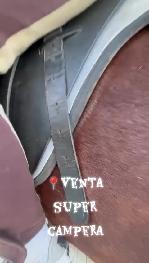 @antoncampos23