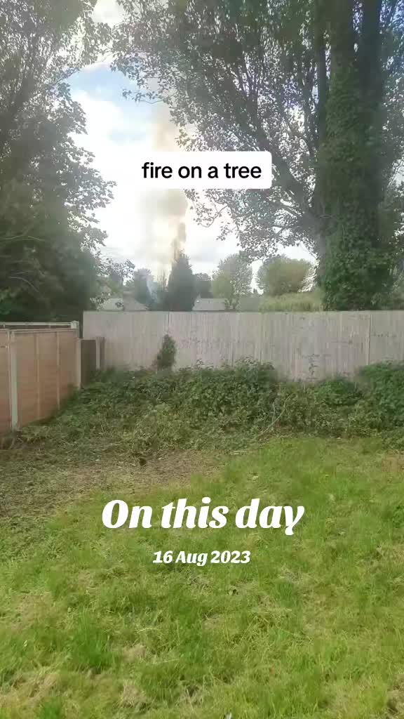 @mahkun