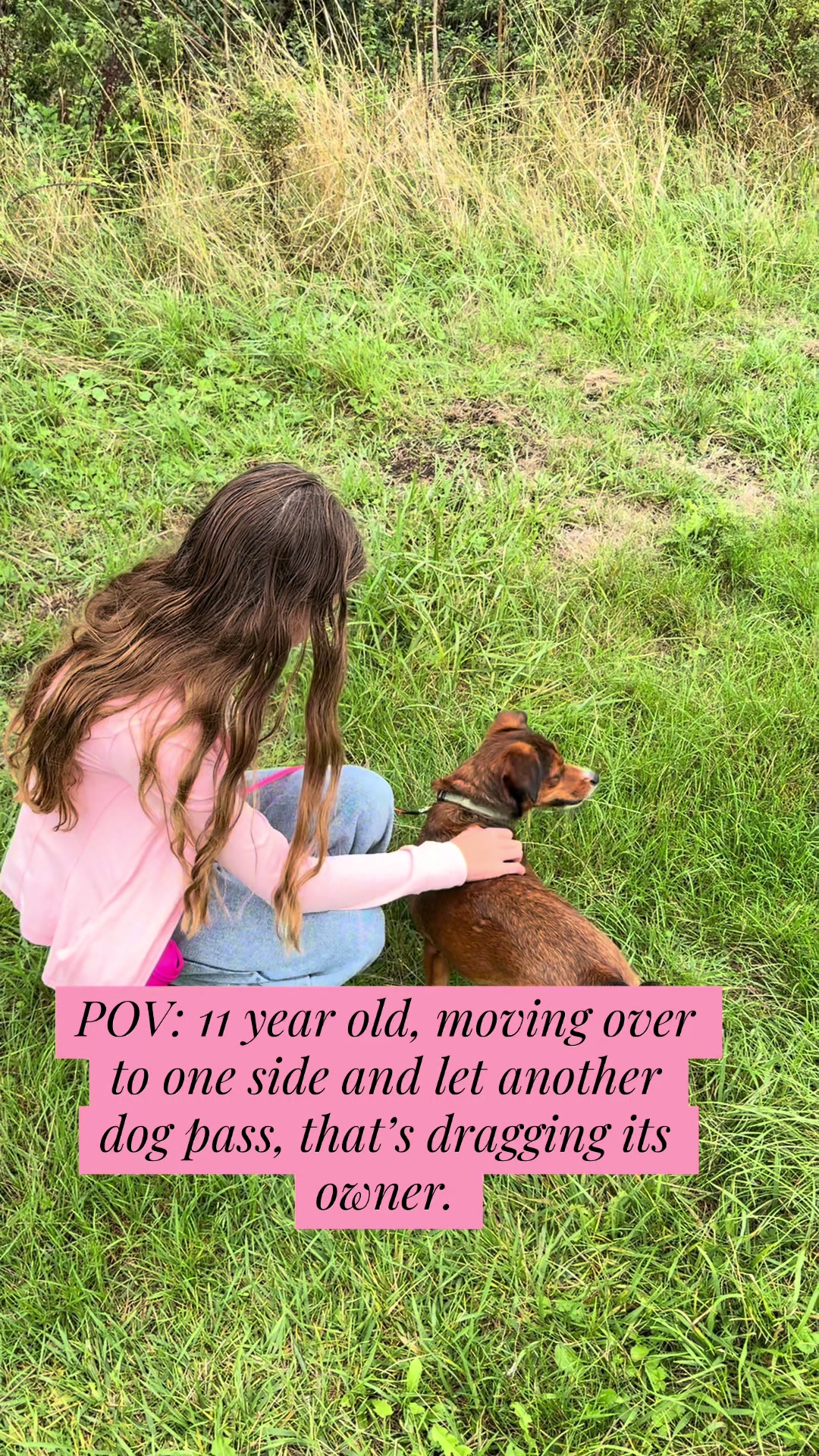 @SouthendDogTraining
