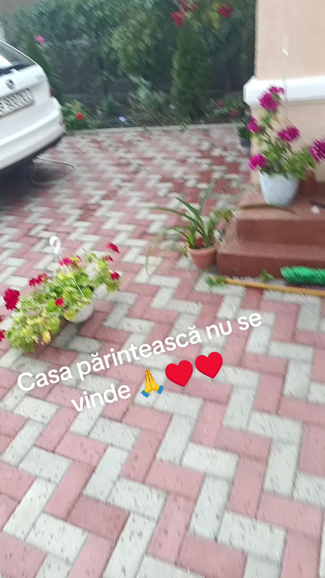 @auraivascu395