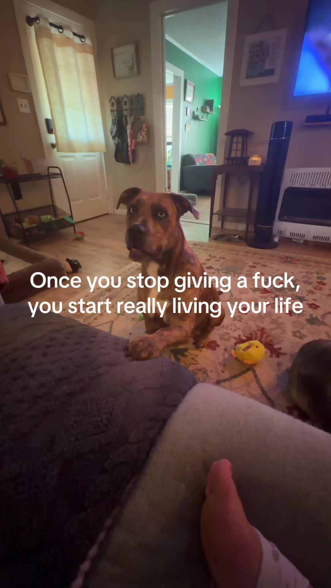 @DK 🐾🍒