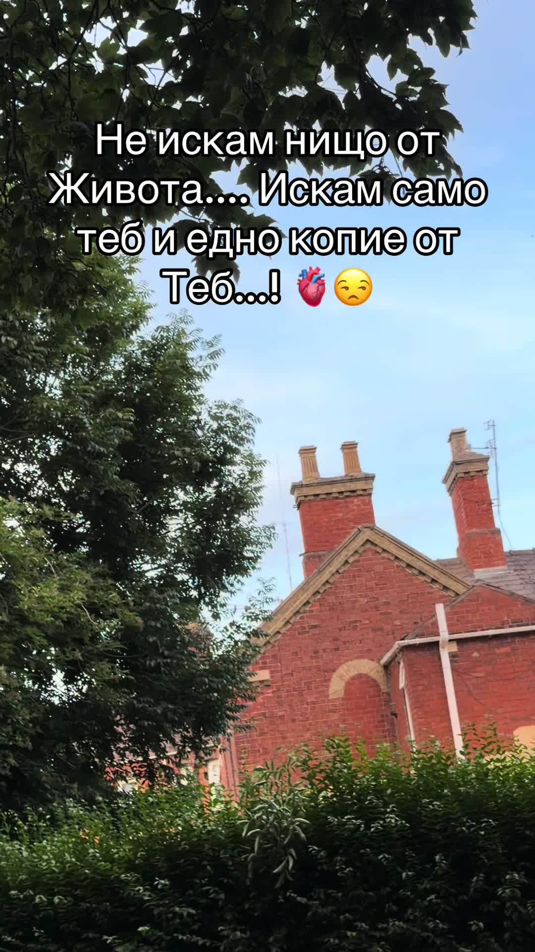 @⚡️🦁Георги🦁⚡️