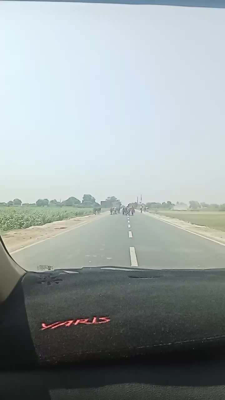 @jugnoo rajpoot 🦚