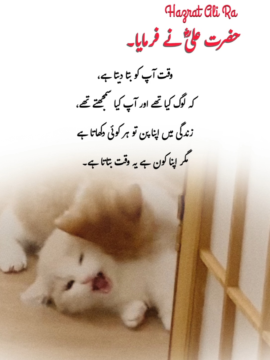 @Khan🍀Writes