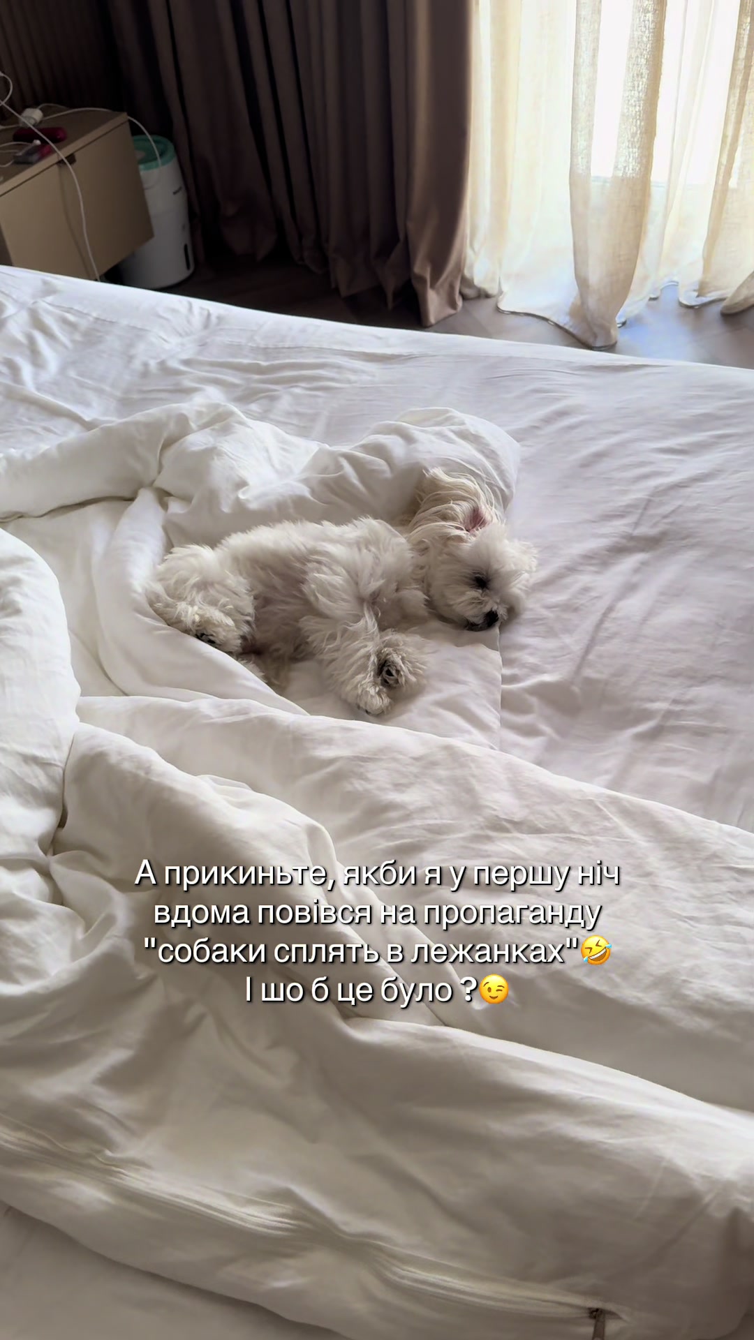 @I'm Eti 🐶🇺🇦