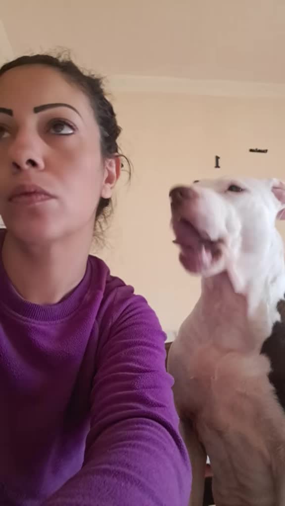@🐶Yᑌᗰᗩ&ᑕO.🐾