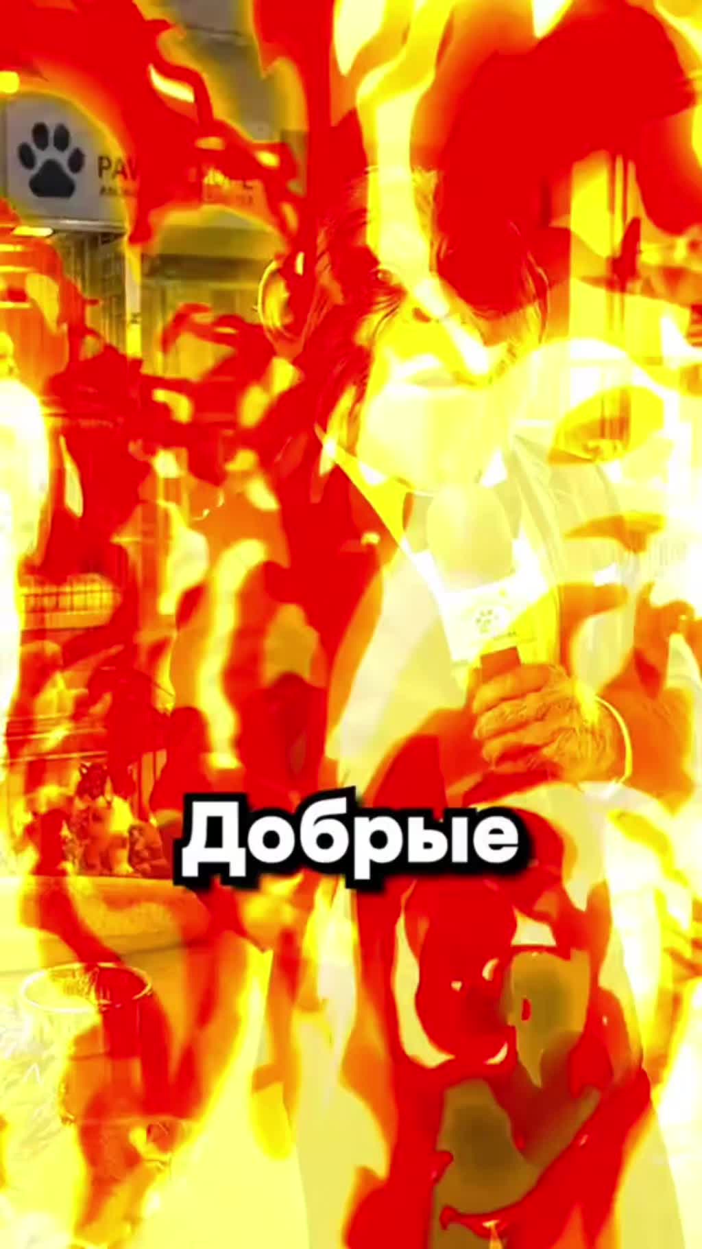 @𝕲𝖍𝖔𝖘𝖙
