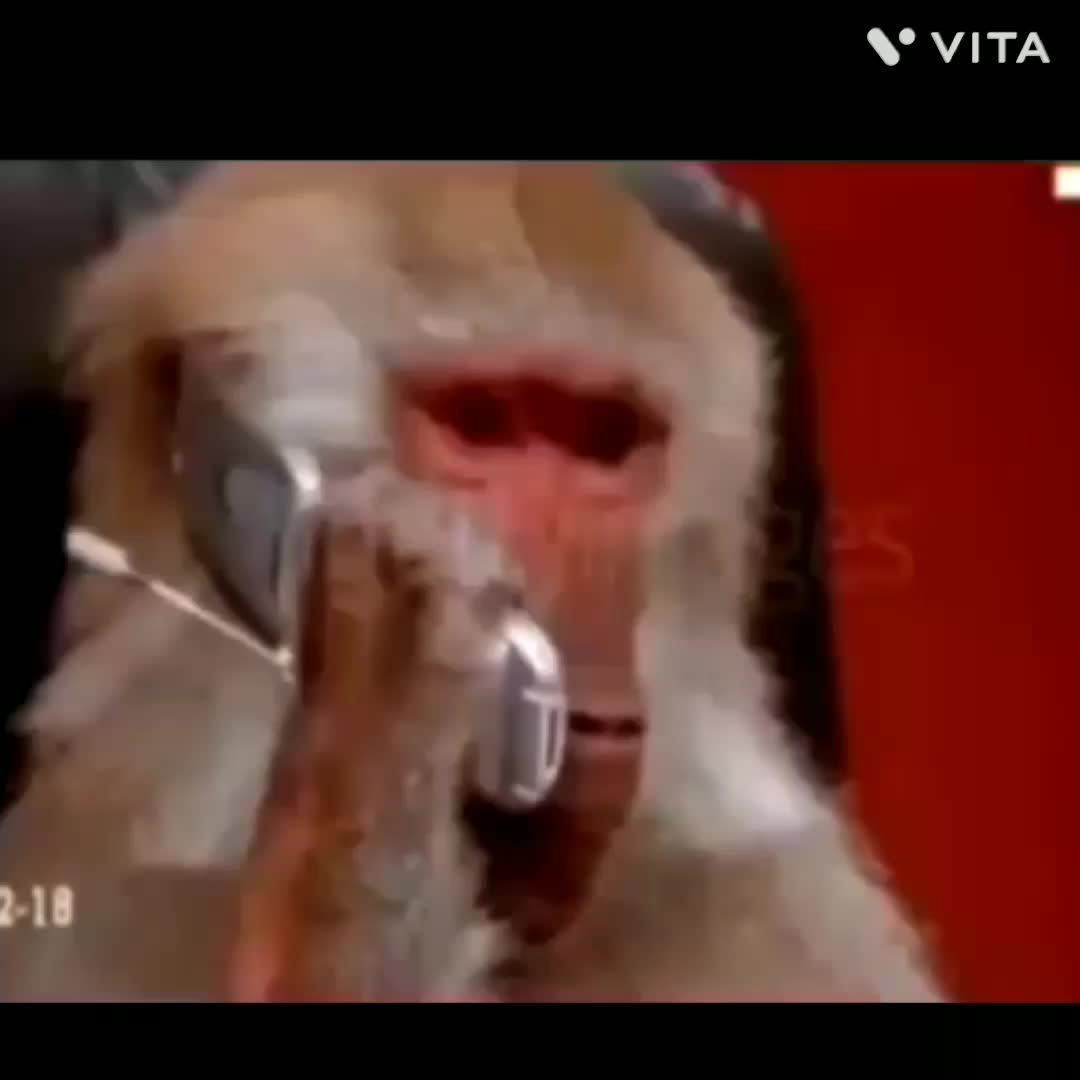 @&Ccedil;ris:)