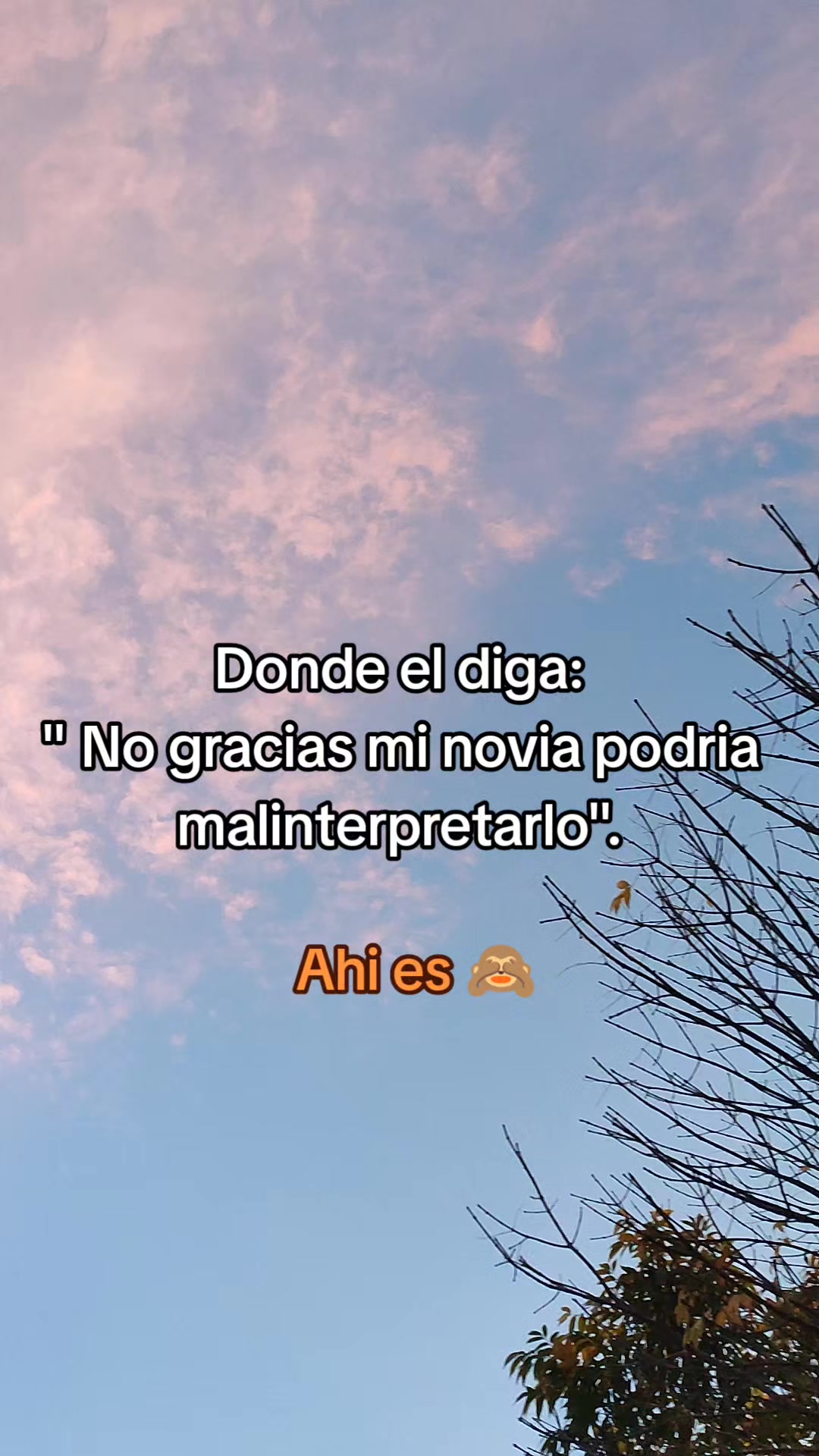 @Tania