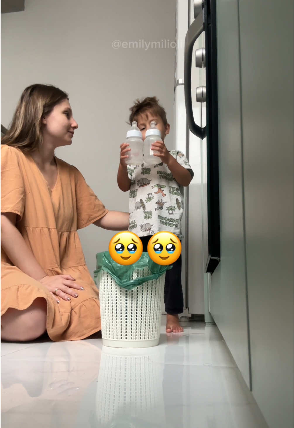 @emily-milioli