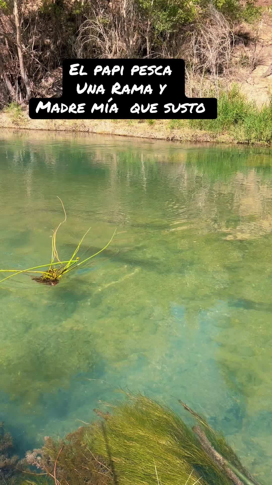@Mili García y familia ☀️