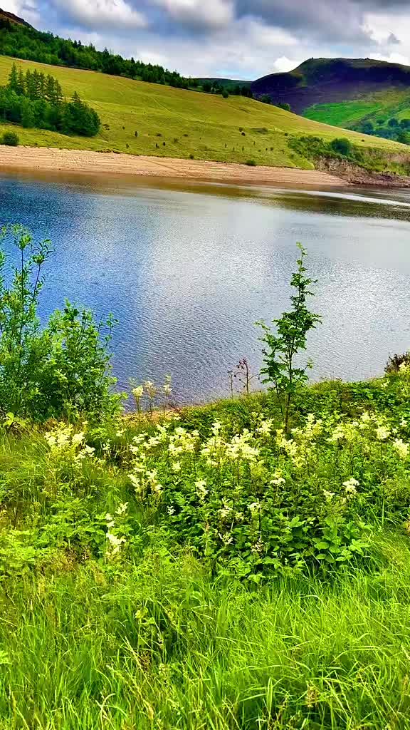 @Nature lover
