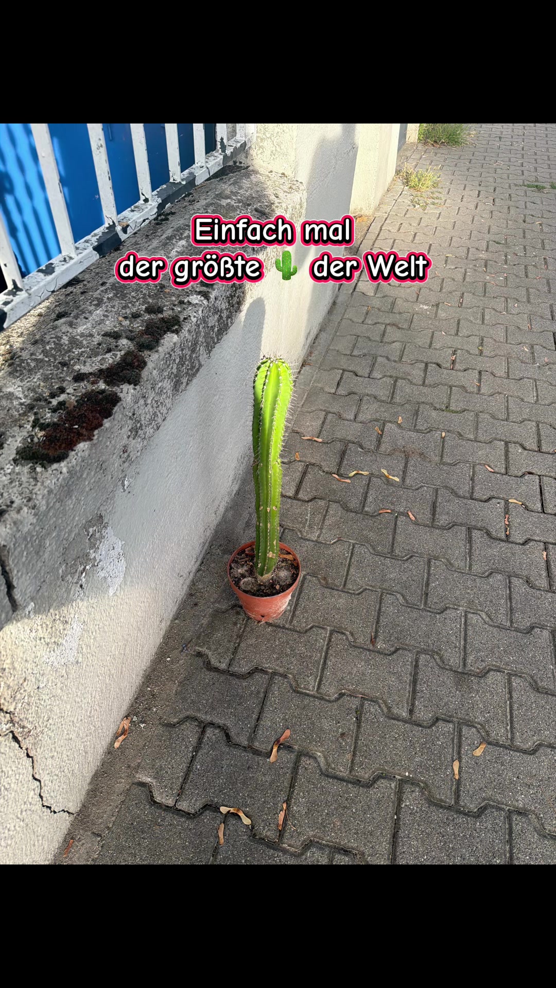 @EV/IJ