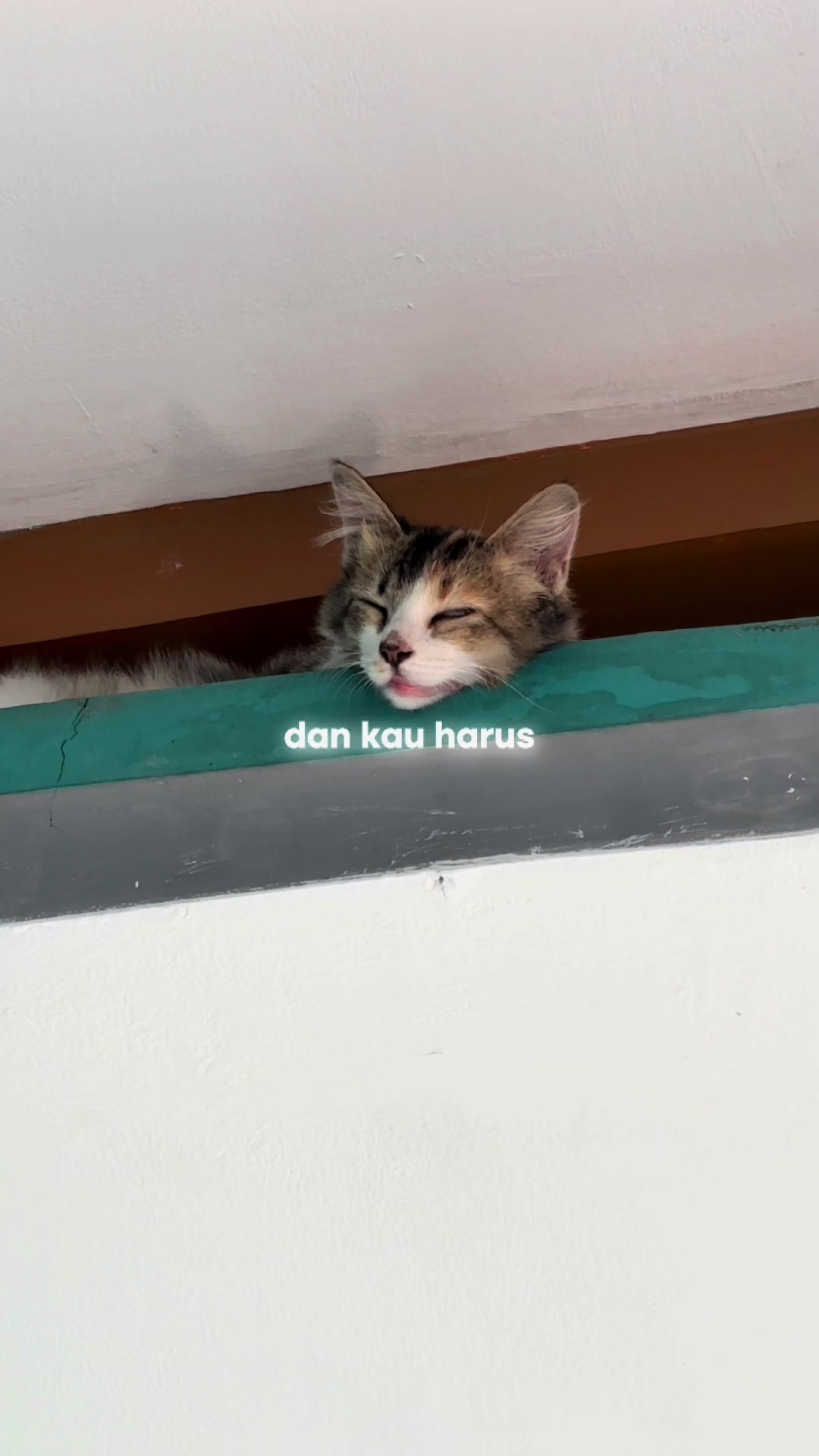@ʟ ᴇ ᴏ &bull; ɢ ɪ ʀ ʟ s ♌