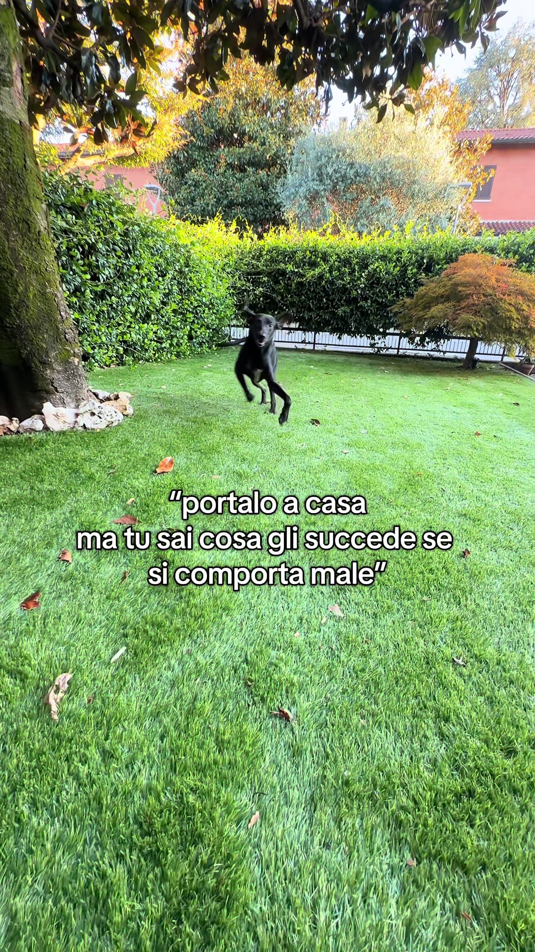 @Irene Giussani🦊