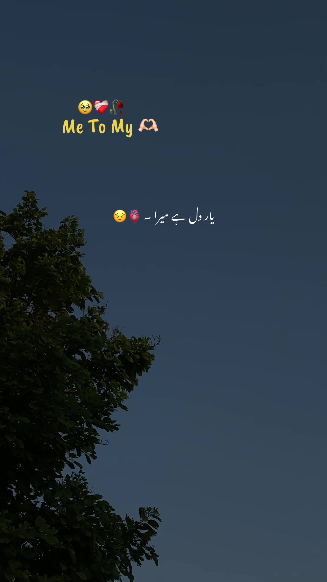 @𝘼𝙨𝙝𝙠-𝙚-𝘿𝙞𝙡 ❤️&zwj;🩹🥀