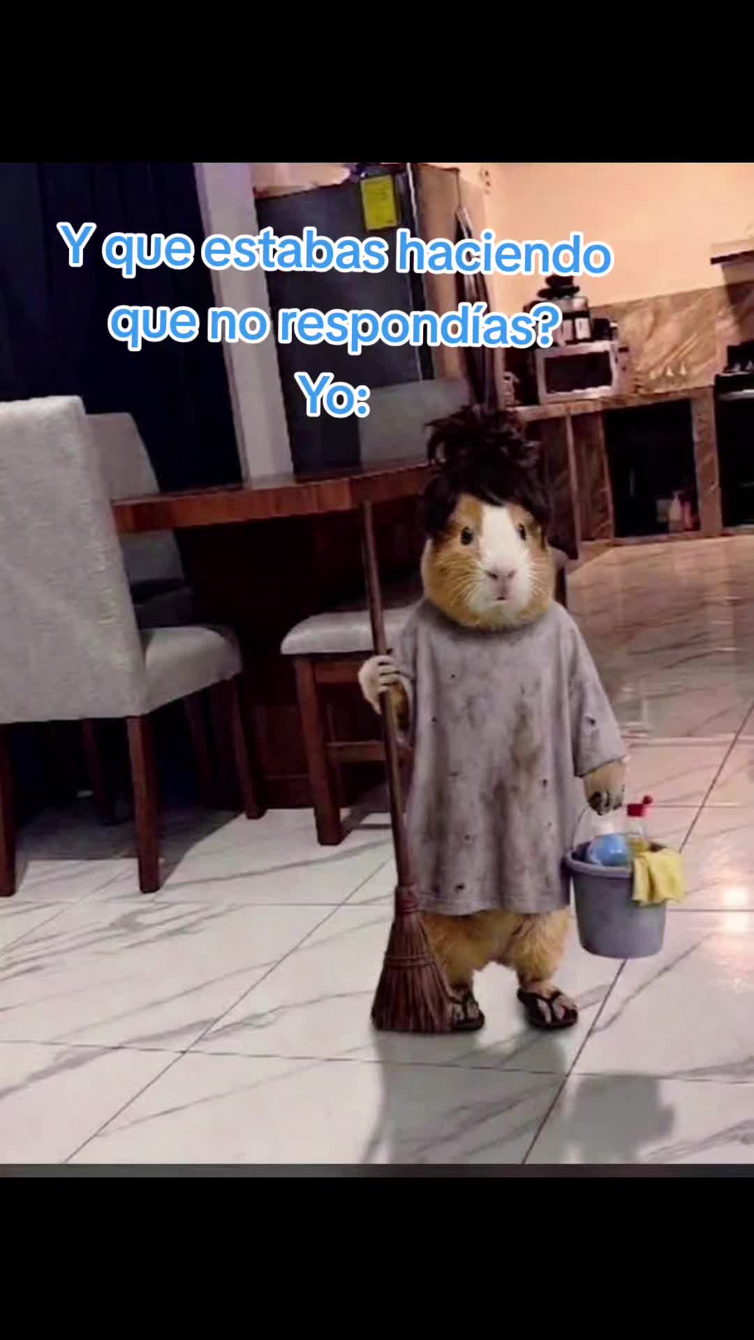 @el panda solitario