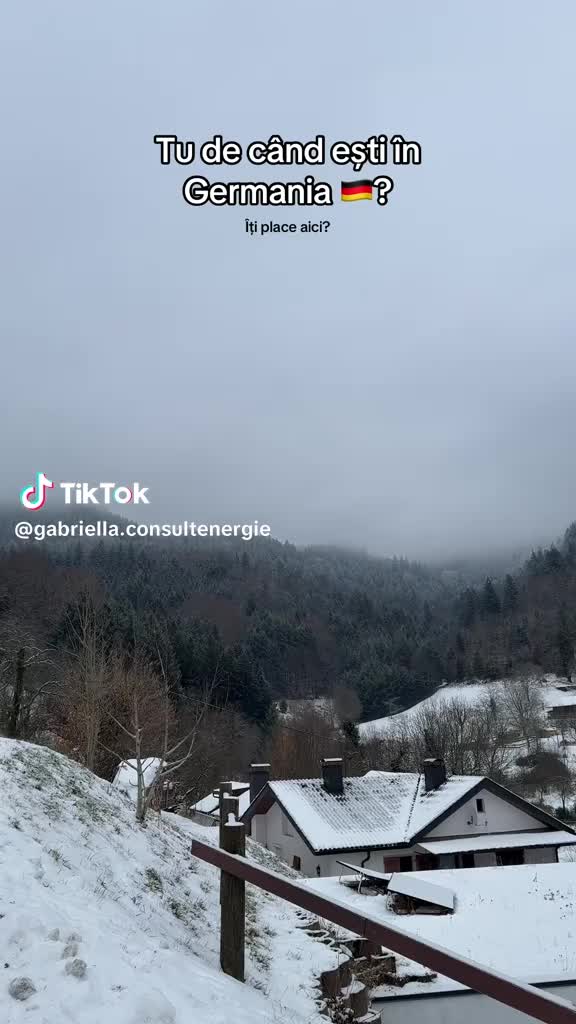 @Giorgiana Nichita
