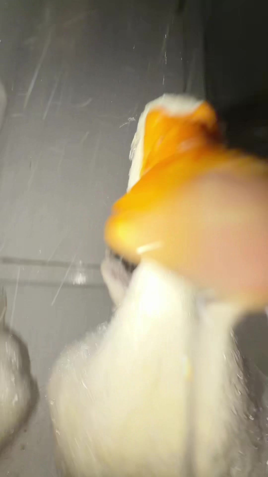 @quakduo