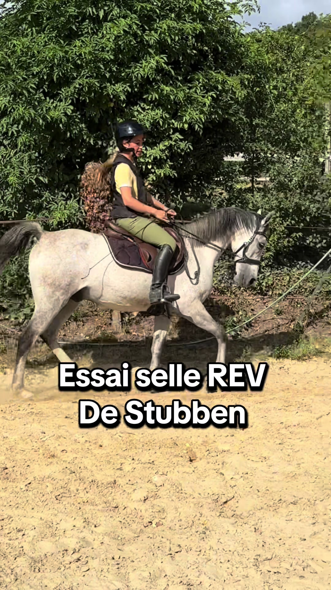 @Réflexions Equestres