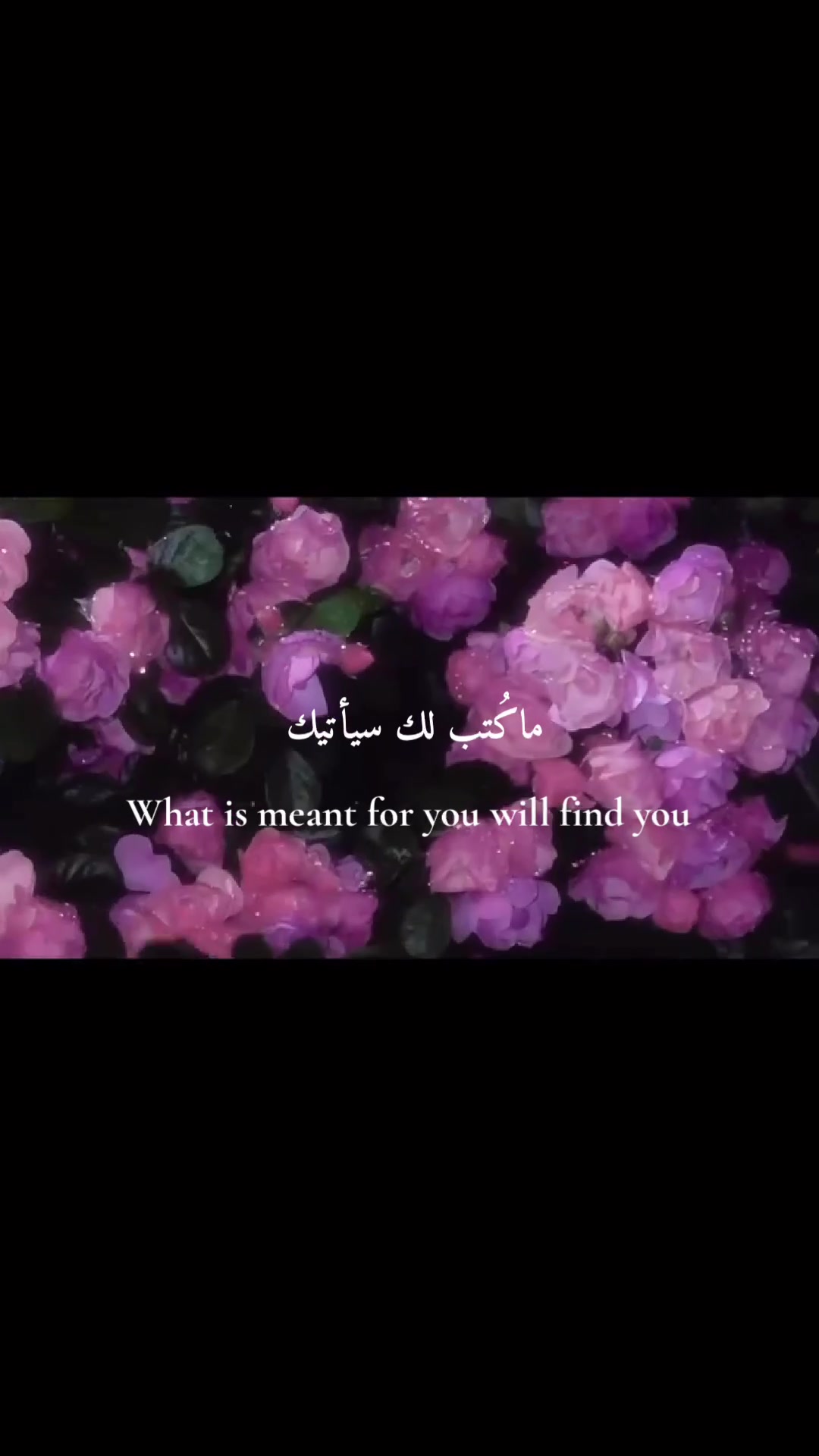 @The Safeer Arabic School