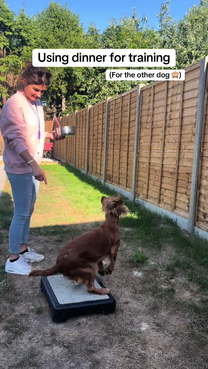 @Corrina | Parker & Mila 🐾 ⭐️