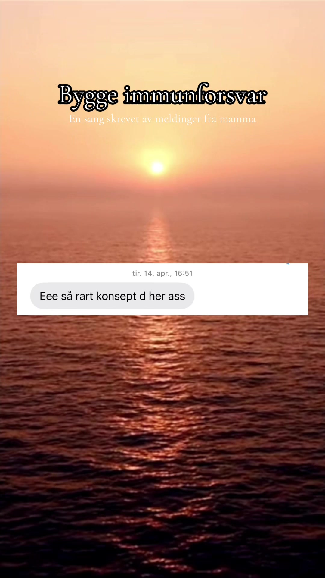 @S&oslash;rkilgullet⚡️